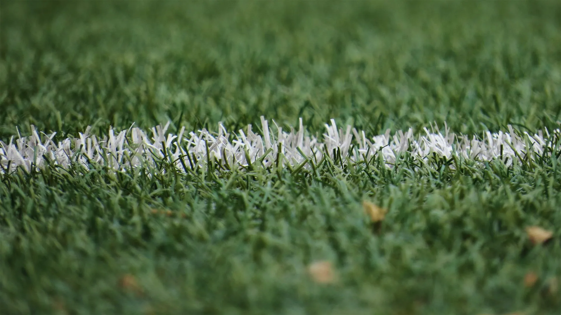linea blanca en cesped artificial para fútbol