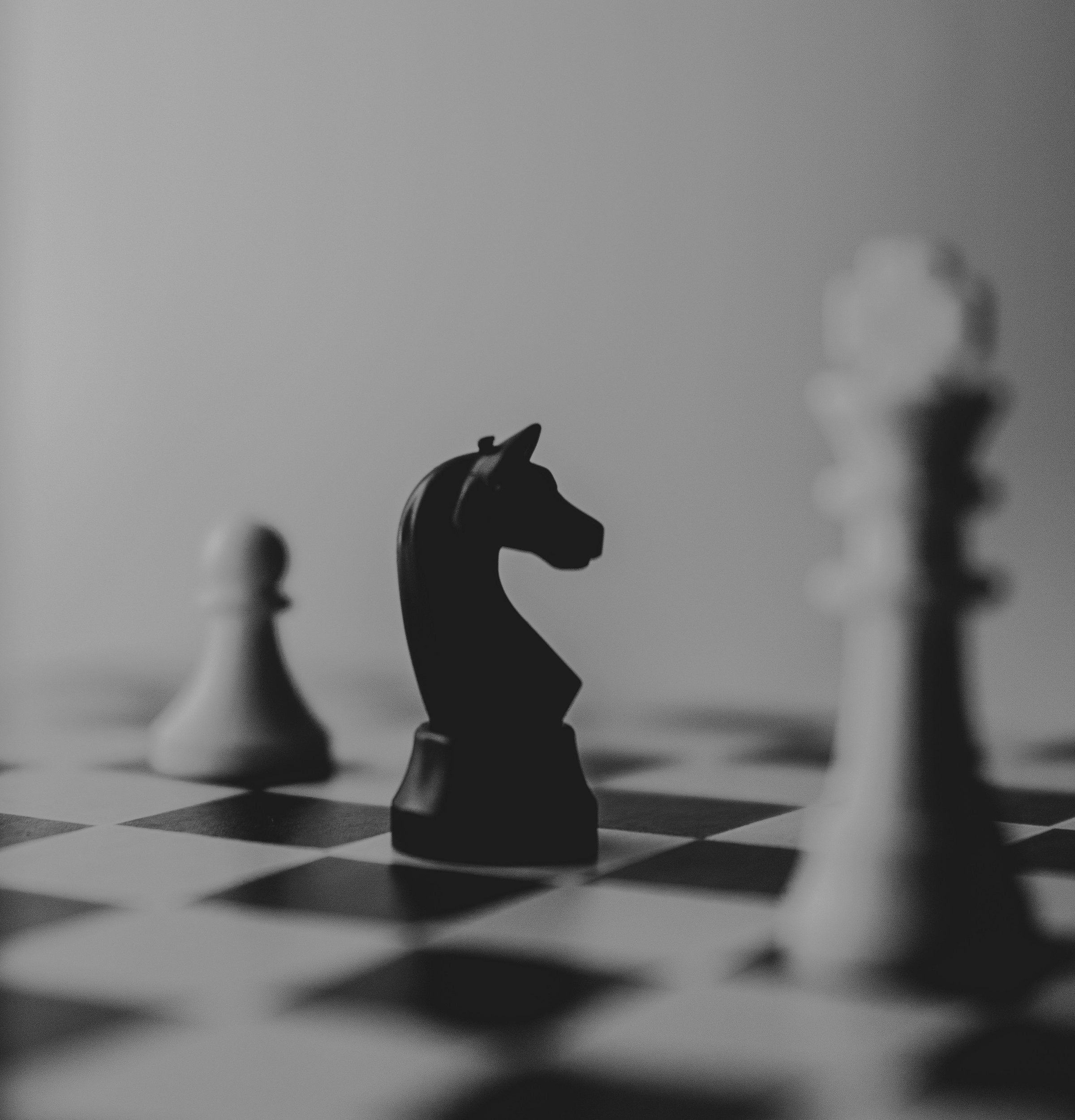 black knight in black and white chess